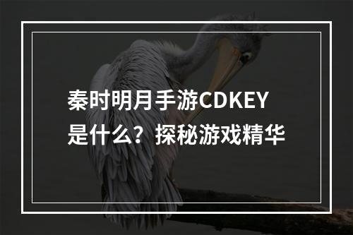 秦时明月手游CDKEY是什么？探秘游戏精华