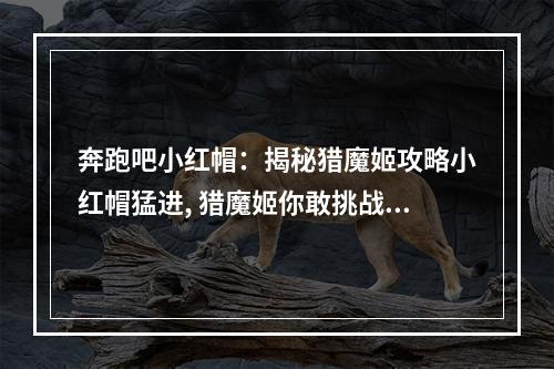 奔跑吧小红帽：揭秘猎魔姬攻略小红帽猛进, 猎魔姬你敢挑战吗？著名童话故事《小红帽》在愤怒的小鸟玩法下与猎魔姬相会了，一款比愤怒的小鸟更具操作难度的新游戏《愤怒的