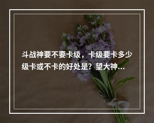 斗战神要不要卡级，卡级要卡多少级卡或不卡的好处是？望大神指教我新手(斗战神卡等级)