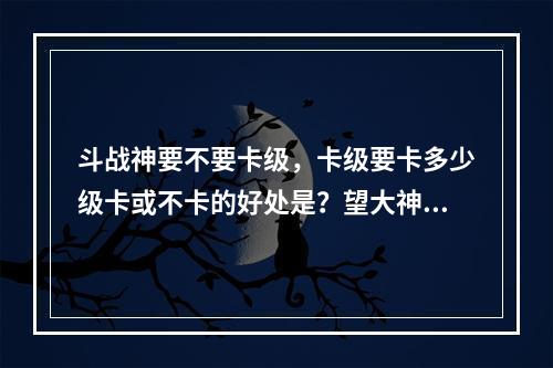 斗战神要不要卡级，卡级要卡多少级卡或不卡的好处是？望大神指教我新手(斗战神卡等级)