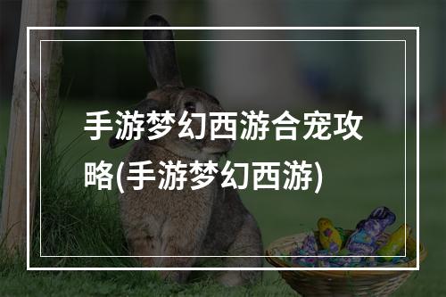 手游梦幻西游合宠攻略(手游梦幻西游)