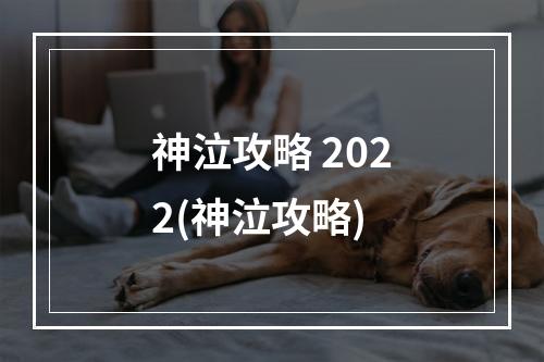 神泣攻略 2022(神泣攻略)