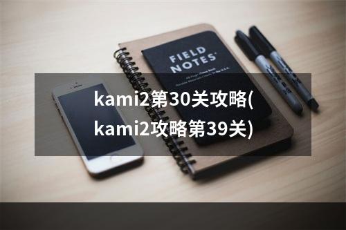 kami2第30关攻略(kami2攻略第39关)