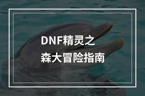 DNF精灵之森大冒险指南