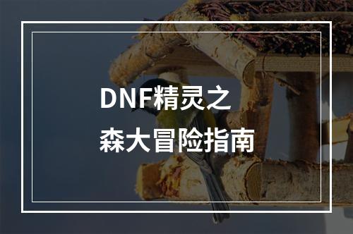 DNF精灵之森大冒险指南