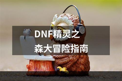 DNF精灵之森大冒险指南