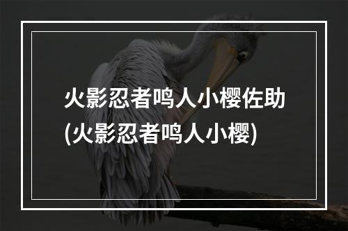 火影忍者鸣人小樱佐助(火影忍者鸣人小樱)