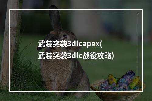 武装突袭3dlcapex(武装突袭3dlc战役攻略)