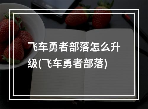 飞车勇者部落怎么升级(飞车勇者部落)