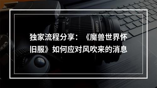 独家流程分享：《魔兽世界怀旧服》如何应对风吹来的消息