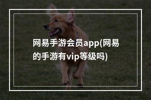 网易手游会员app(网易的手游有vip等级吗)