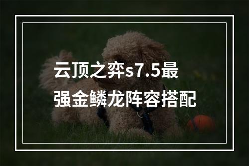 云顶之弈s7.5最强金鳞龙阵容搭配