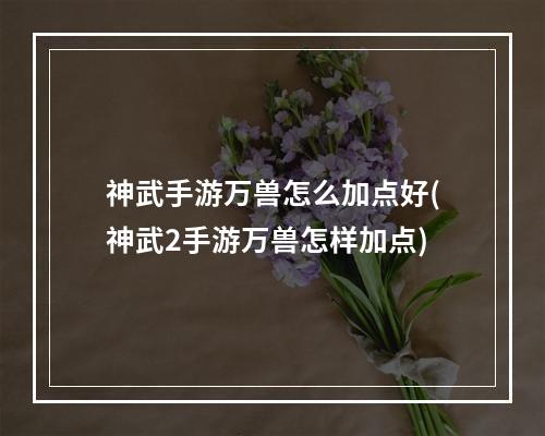 神武手游万兽怎么加点好(神武2手游万兽怎样加点)