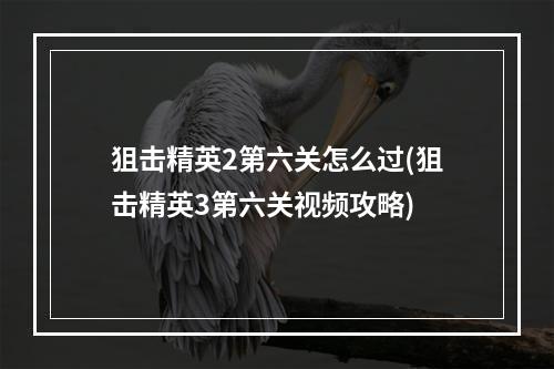 狙击精英2第六关怎么过(狙击精英3第六关视频攻略)