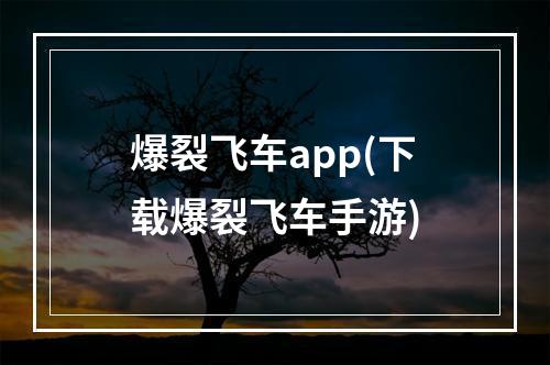 爆裂飞车app(下载爆裂飞车手游)