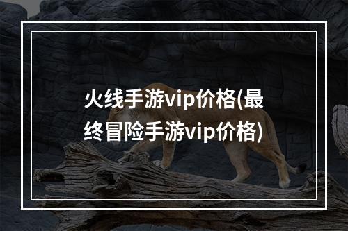 火线手游vip价格(最终冒险手游vip价格)