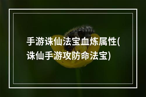 手游诛仙法宝血炼属性(诛仙手游攻防命法宝)