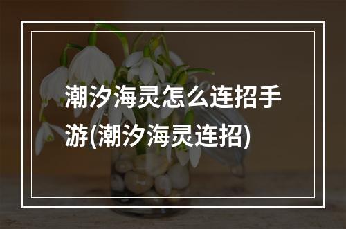 潮汐海灵怎么连招手游(潮汐海灵连招)