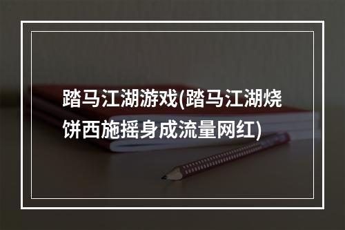 踏马江湖游戏(踏马江湖烧饼西施摇身成流量网红)