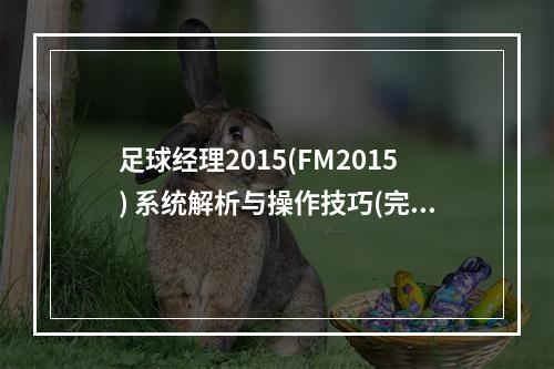 足球经理2015(FM2015) 系统解析与操作技巧(完全指南)