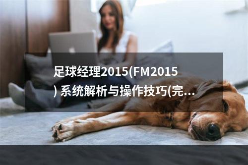 足球经理2015(FM2015) 系统解析与操作技巧(完全指南)