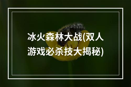 冰火森林大战(双人游戏必杀技大揭秘)