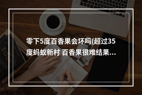 零下5度百香果会坏吗(超过35度蚂蚁新村 百香果很难结果吗3.30)