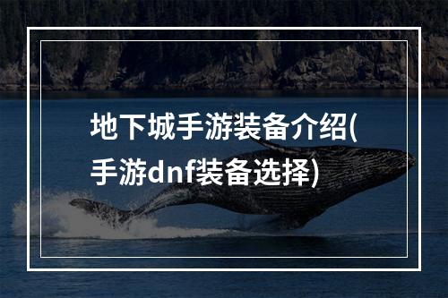 地下城手游装备介绍(手游dnf装备选择)