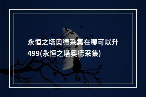 永恒之塔奥德采集在哪可以升499(永恒之塔奥德采集)