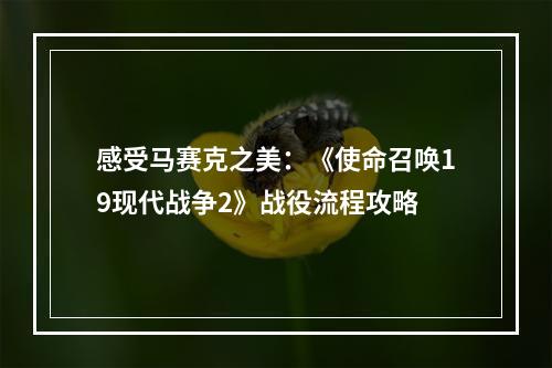 感受马赛克之美：《使命召唤19现代战争2》战役流程攻略