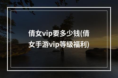 倩女vip要多少钱(倩女手游vip等级福利)