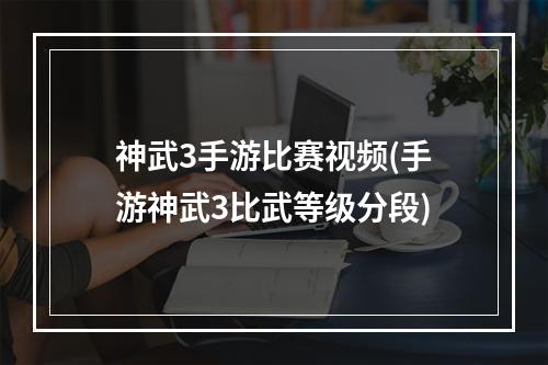 神武3手游比赛视频(手游神武3比武等级分段)