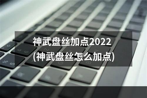 神武盘丝加点2022(神武盘丝怎么加点)