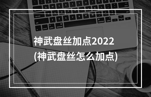 神武盘丝加点2022(神武盘丝怎么加点)