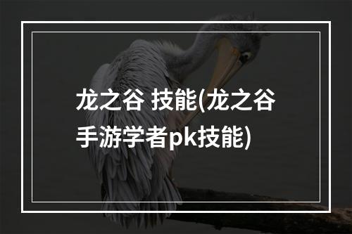 龙之谷 技能(龙之谷手游学者pk技能)