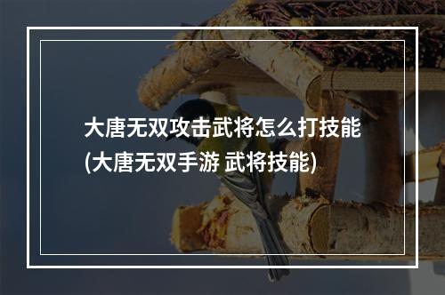 大唐无双攻击武将怎么打技能(大唐无双手游 武将技能)