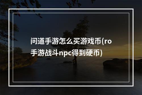 问道手游怎么买游戏币(ro手游战斗npc得到硬币)