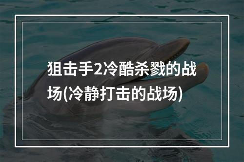 狙击手2冷酷杀戮的战场(冷静打击的战场)