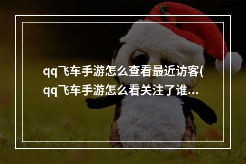 qq飞车手游怎么查看最近访客(qq飞车手游怎么看关注了谁)