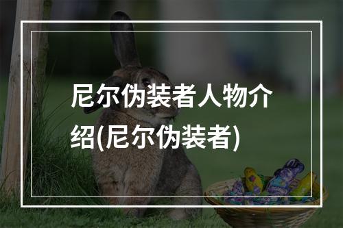 尼尔伪装者人物介绍(尼尔伪装者)