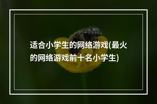 适合小学生的网络游戏(最火的网络游戏前十名小学生)