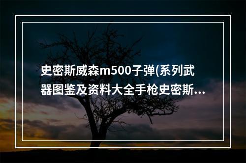 史密斯威森m500子弹(系列武器图鉴及资料大全手枪史密斯维森M500)