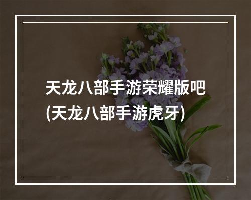 天龙八部手游荣耀版吧(天龙八部手游虎牙)