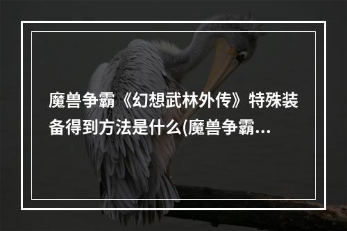 魔兽争霸《幻想武林外传》特殊装备得到方法是什么(魔兽争霸《幻想武林外传》特殊装备得到方法)