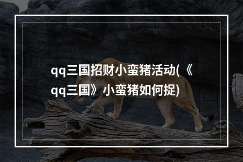 qq三国招财小蛮猪活动(《qq三国》小蛮猪如何捉)