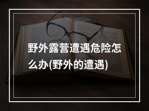 野外露营遭遇危险怎么办(野外的遭遇)