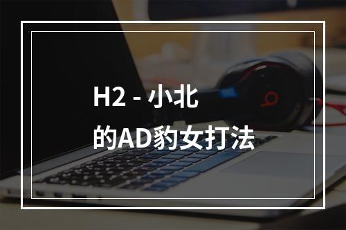 H2 - 小北的AD豹女打法