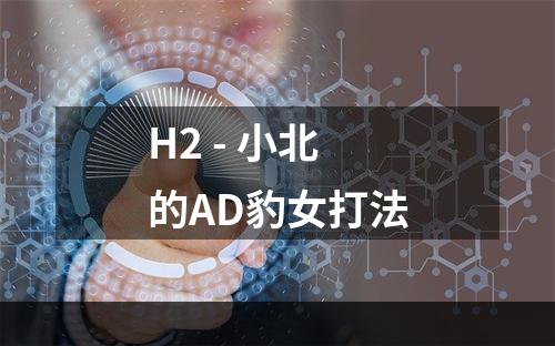 H2 - 小北的AD豹女打法