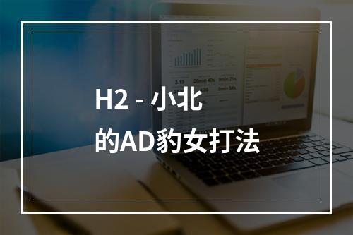 H2 - 小北的AD豹女打法