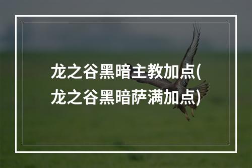 龙之谷黑暗主教加点(龙之谷黑暗萨满加点)